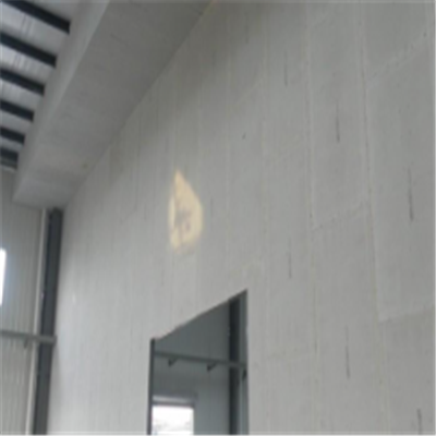 兴城宁波ALC板|EPS加气板隔墙与混凝土整浇联接的实验研讨